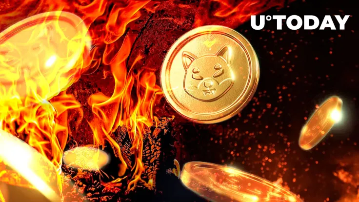 Over 5.3 Billion SHIB Burned via This Platform Since July; Here Is Impact on Price