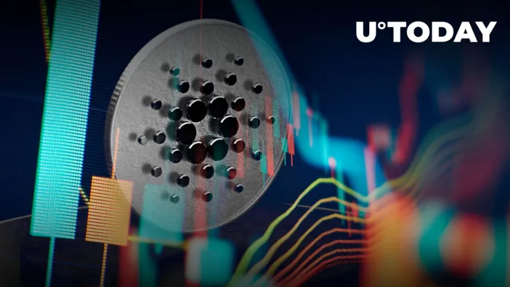 Cardano: Someone Is Buying It Up, and Reason Remains Unknown