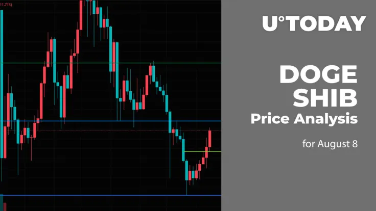 DOGE and SHIB Price Analysis for August 8