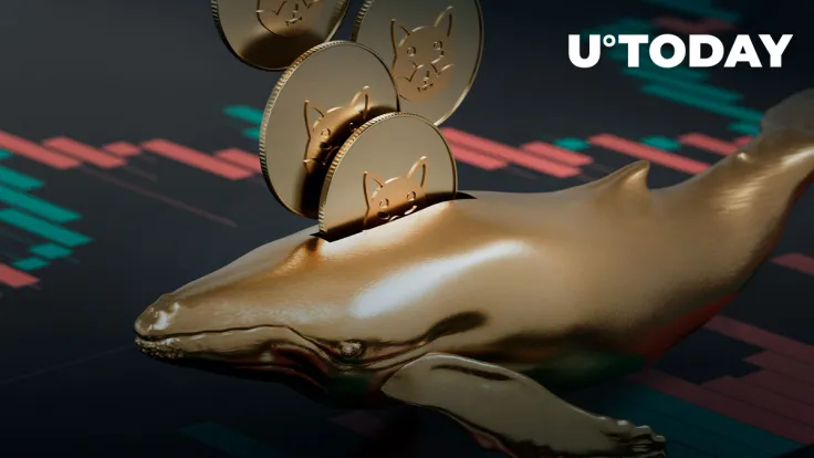Shiba Inu Whales' Trading Volumes Surge by 511% as Top Holders Reposition