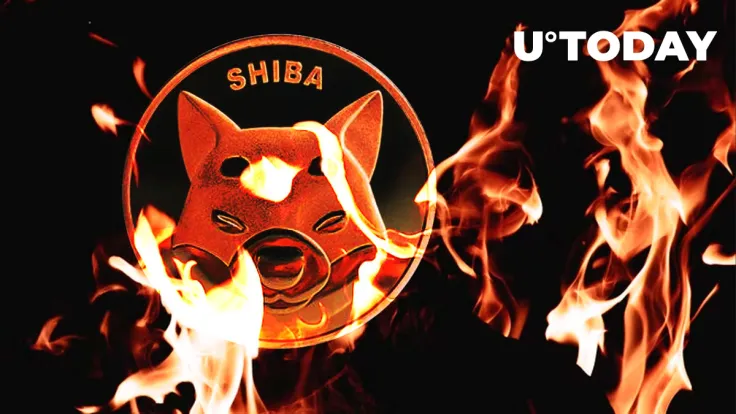 Shiba Inu Burn Rate Spikes 250% After Massive 312 Billion SHIB Whale Purchase
