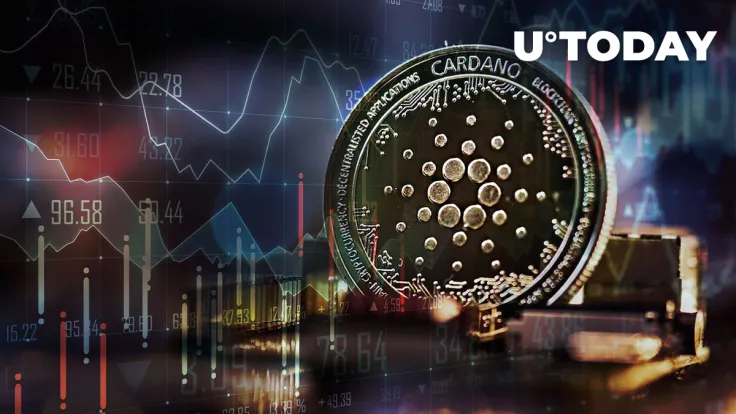 Cardano Transaction Count Spikes to 75,000 with More to Come