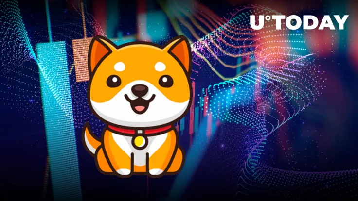 BabyDoge 60% Reversal Possible for This Reason