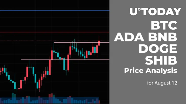 BTC, ADA, BNB, DOGE and SHIB Price Analysis for August 12