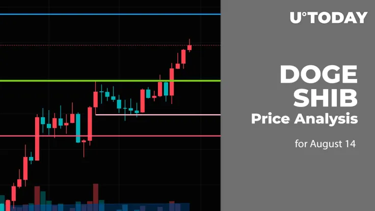 DOGE and SHIB Price Analysis for August 14