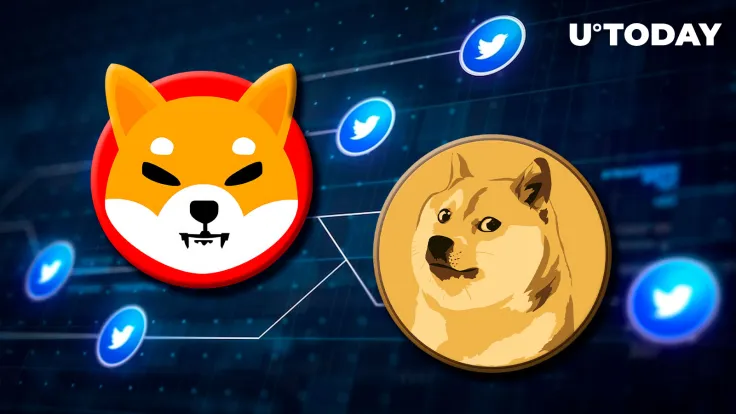 Shiba Inu Flips Dogecoin on Twitter; Is Market Cap Next?