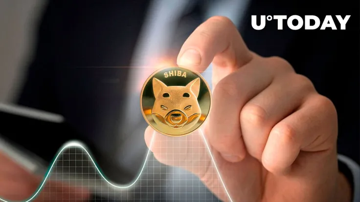 Shiba Inu (SHIB) 25% Rally Caused by This Group of Investors