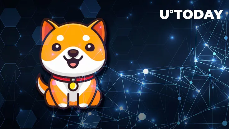 Less Than 24 Hours Before Baby Doge Testnet Launch