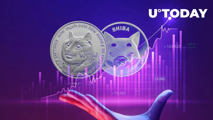 SHIB and DOGE Spike as Ethereum's Merge Is Drawing Near and Due to Some Other Factors