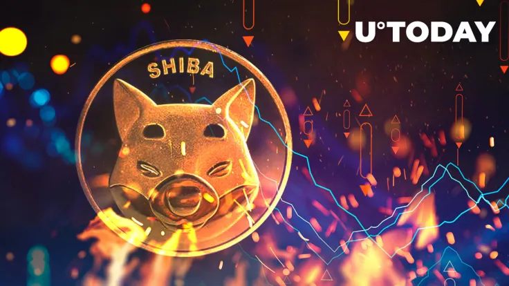 Shiba Inu (SHIB) Burn Rate Tumbles Down by 40%