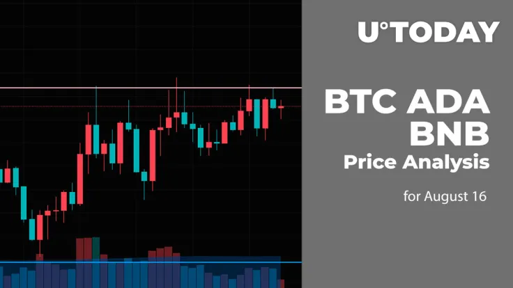 BTC, ADA and BNB Price Analysis for August 16