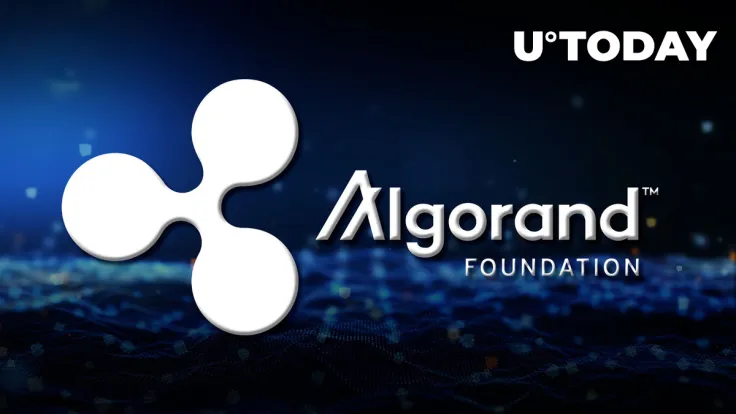 Ripple Executive Joins Algorand Foundation