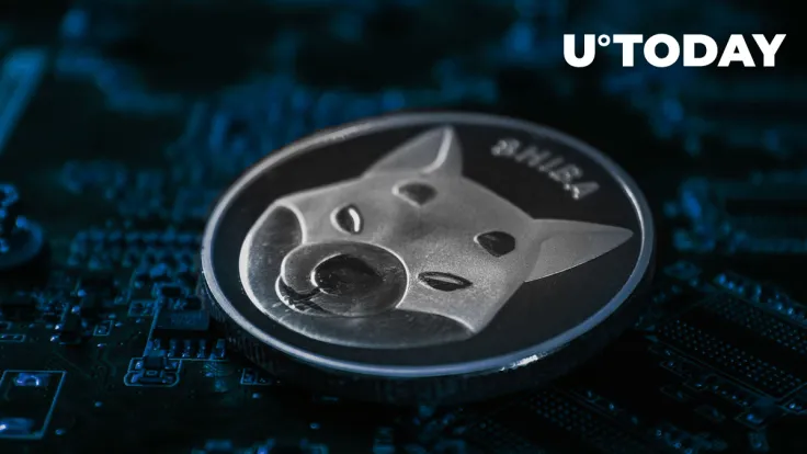 Shiba Inu: This Metric Displays Confidence Among SHIB Holders