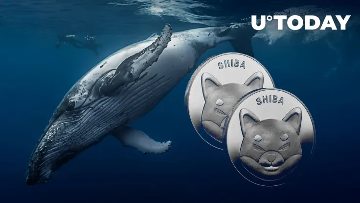 $193 Million in SHIB End up in Whales' Wallets as They Increase Holdings
