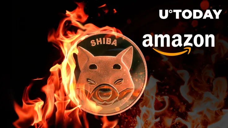 15 Million SHIB Burned via Amazon in August: Details