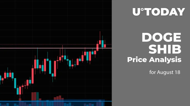 DOGE and SHIB Price Analysis for August 18