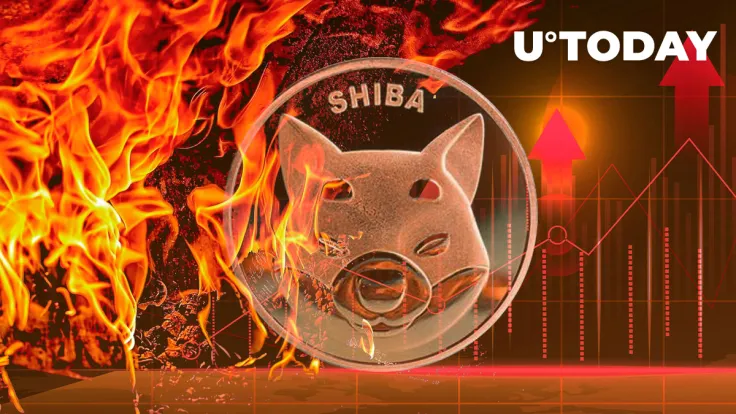 Shiba Inu Burn Rate Suddenly Jumps 322%, SHIB Price Approaches Key Support