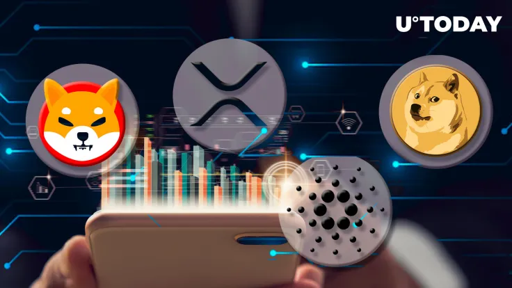 XRP, ADA, SHIB, DOGE Plunge as Momentum Fades