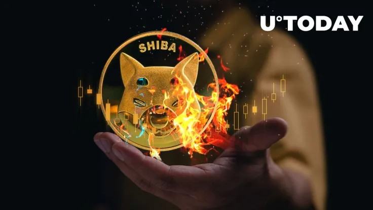SHIB Burn Rate up 242.50% as Another 133 Million Shiba Gets Burned