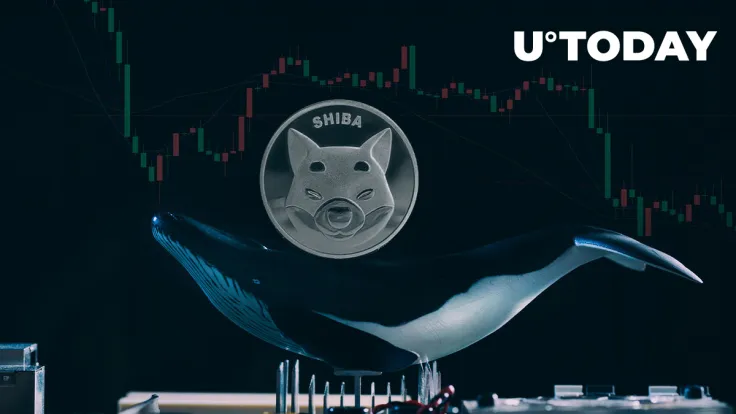 Whales Drop $33 Million in SHIB Overnight as Price Down 13%