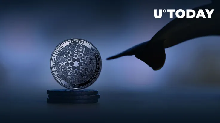 Cardano Faces Pressure from Whales, But in Most "Unlikely" Way