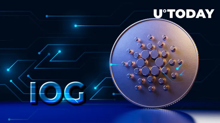 Cardano's IOG Gives Its Latest Update on State of Things for Vasil