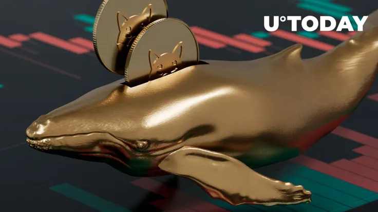 Whales Grab 383.7 Billion SHIB Overnight: Report
