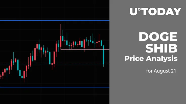 DOGE and SHIB Price Analysis for August 21