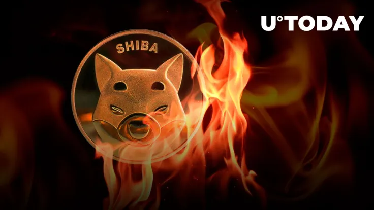 More Than Half Billion SHIB Burned in Past Week as Shiba Inu Returns to Whales' Radar