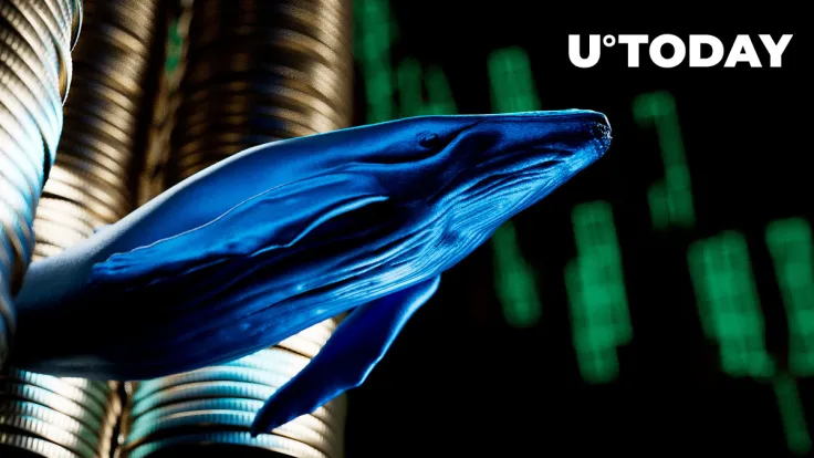 Whales Drop 409.5 Billion SHIB Just Now as Price Goes Down 3%