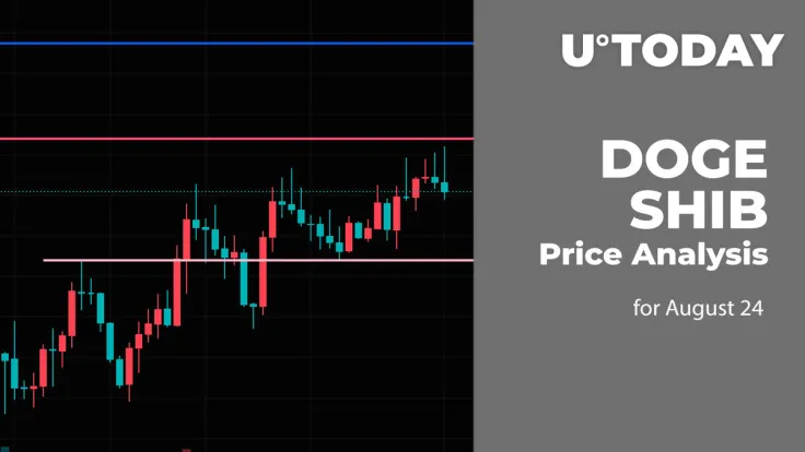 DOGE and SHIB Price Analysis for August 24