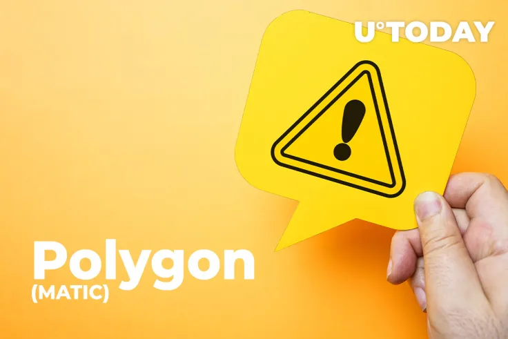 Polygon-Based Token Crashes to Zero in Rug Pull Scam
