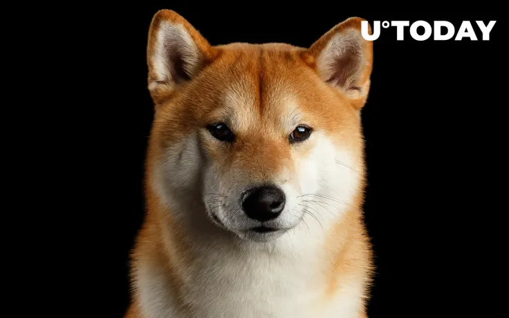 New Shiba Inu (SHIB) Pair to Be Listed by Pantera Capital-Backed Crypto Exchange 