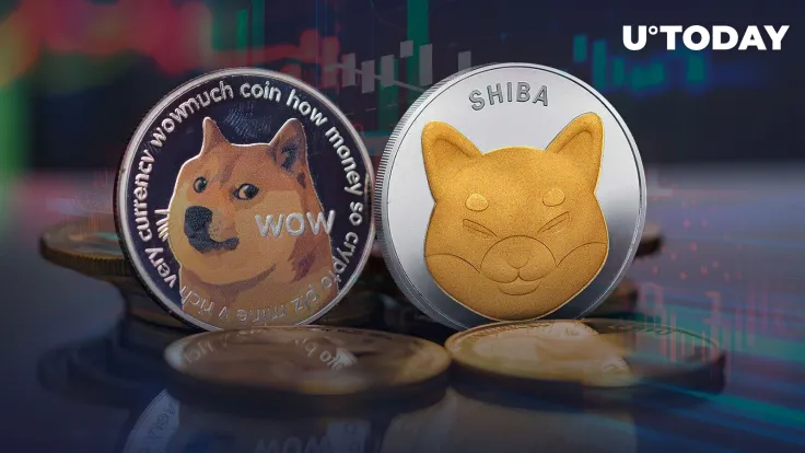 DOGE and SHIB Have Never Been So Close to Losing Their Places at Market Cap Top