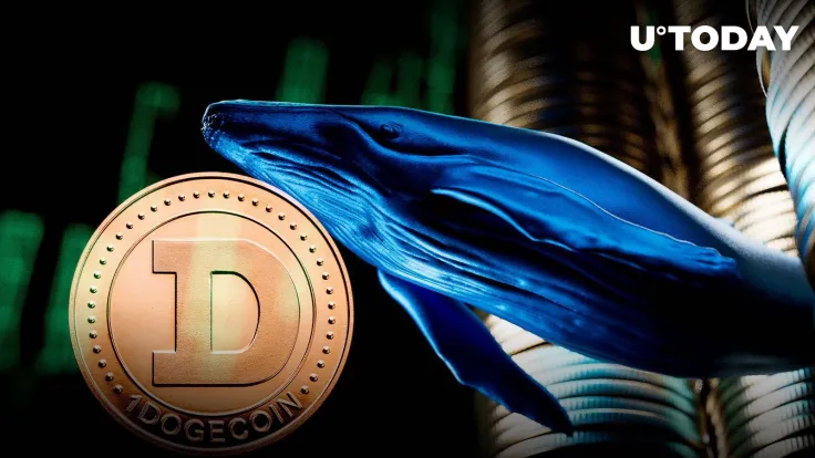 Dogecoin Catches Whales' Interest, DOGE Is in Top 10 by Trading Volume