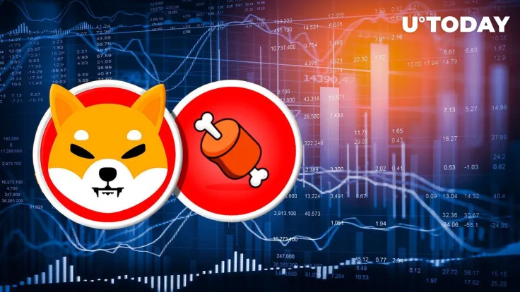 Shiba Inu's BONE 130% Growth Hype Is Not Over as This Announcement Follows
