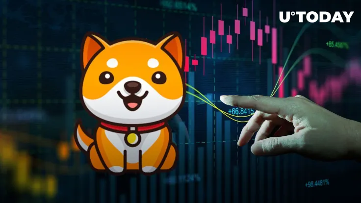 BabyDoge Spikes up 20% Amid Potential Major Crypto Exchange Listing