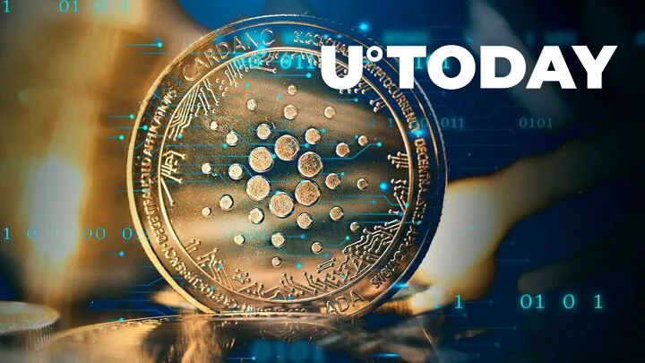 Cardano Blockchain Insights Hide Some Intriguing Stats