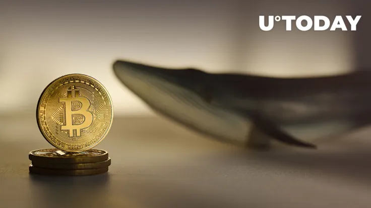 Shiba Inu (SHIB) Can Now Be Bought by Over 6 Million Users via Debit Cards with This New Integration