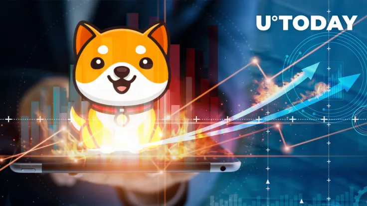 BabyDoge Holder Account Hits New Peak This Month, Leaving SHIB Behind