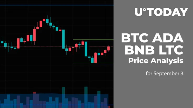 BTC, ADA, BNB and LTC Price Analysis for September 3