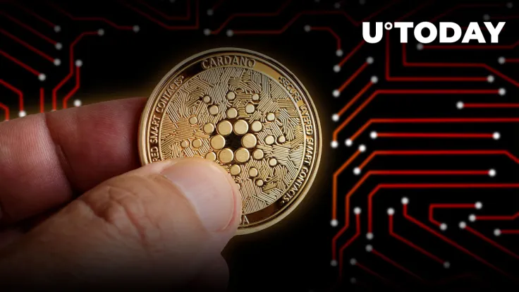 Cardano Sets New Milestone in Native Tokens Issued Following On-chain Growth in August