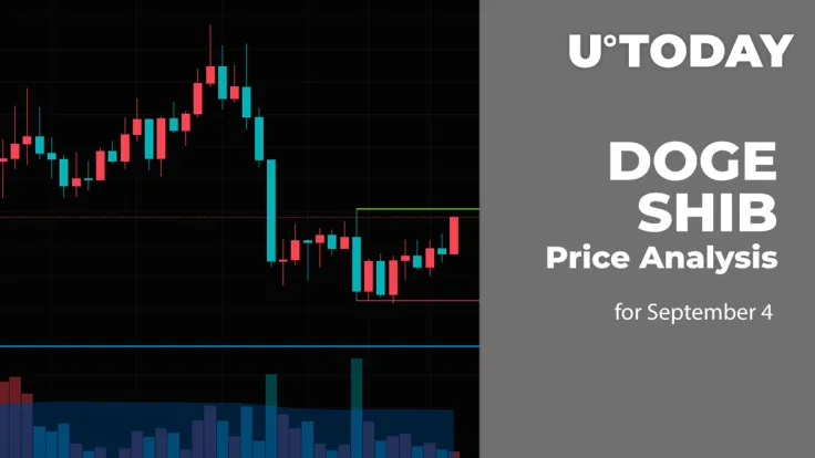 DOGE and SHIB Price Analysis for September 4