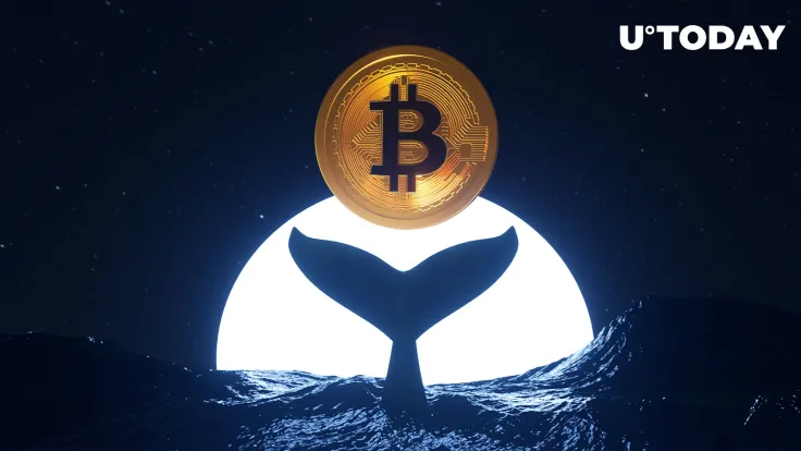 Ancient Bitcoin Whale Moves $100 Million 