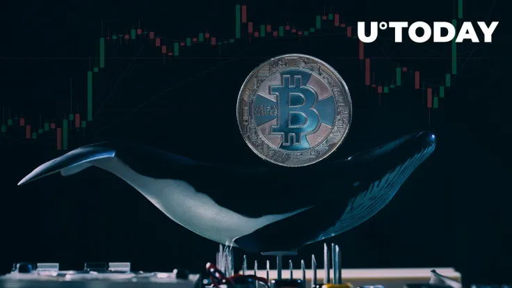 Mysterious Bitcoin Whale Cashes out $95 Million in Gains After Years of "Hodling"