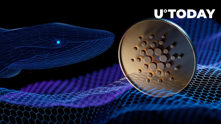 Whales Shifting Attention to Cardano Amid Vasil Optimism: Details