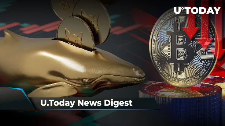 BTC Crashes to Lowest Level Since July, David Gokhshtein Explains Who Buys LUNC, Whales Buy 475 Billion SHIB Ahead of ETH Merge: Crypto News Digest by U.Today