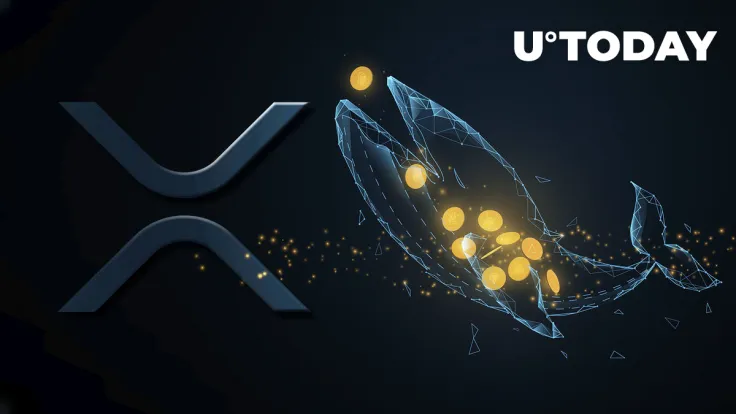 Whales Shift 550 Million XRP as They Might Be Selling