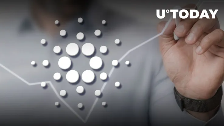 Cardano: Large Investors Continue Buying, Here's What Might Impact Price