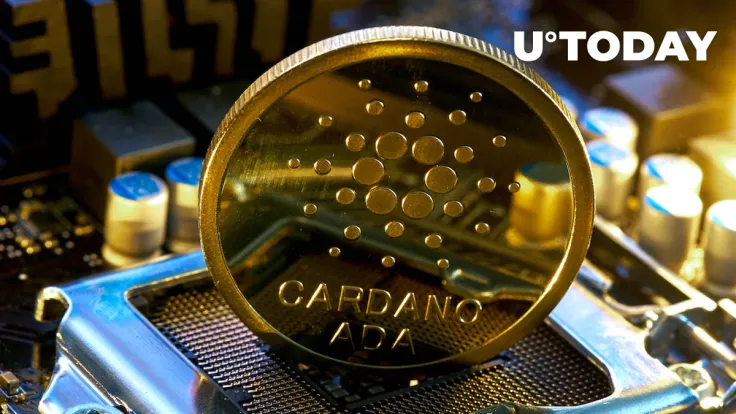 Here's What Cardano (ADA) Holders on Exchanges Can Do to Prepare Ahead of Vasil Hard Fork